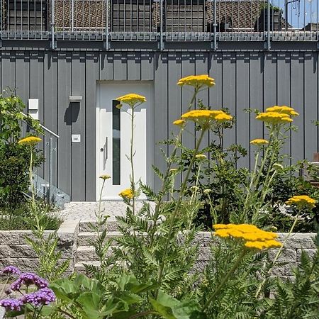 Haus Zur Aach Tinyhouse Villa Uhldingen-Mühlhofen Buitenkant foto