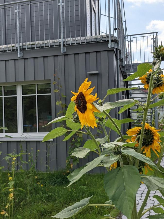 Haus Zur Aach Tinyhouse Villa Uhldingen-Mühlhofen Buitenkant foto