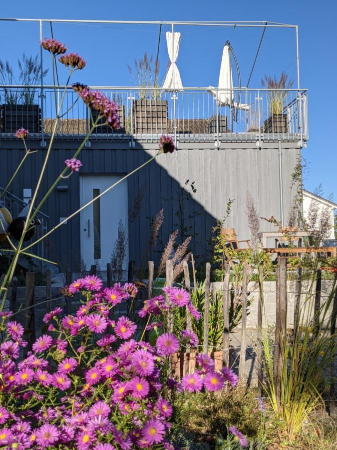 Haus Zur Aach Tinyhouse Villa Uhldingen-Mühlhofen Buitenkant foto