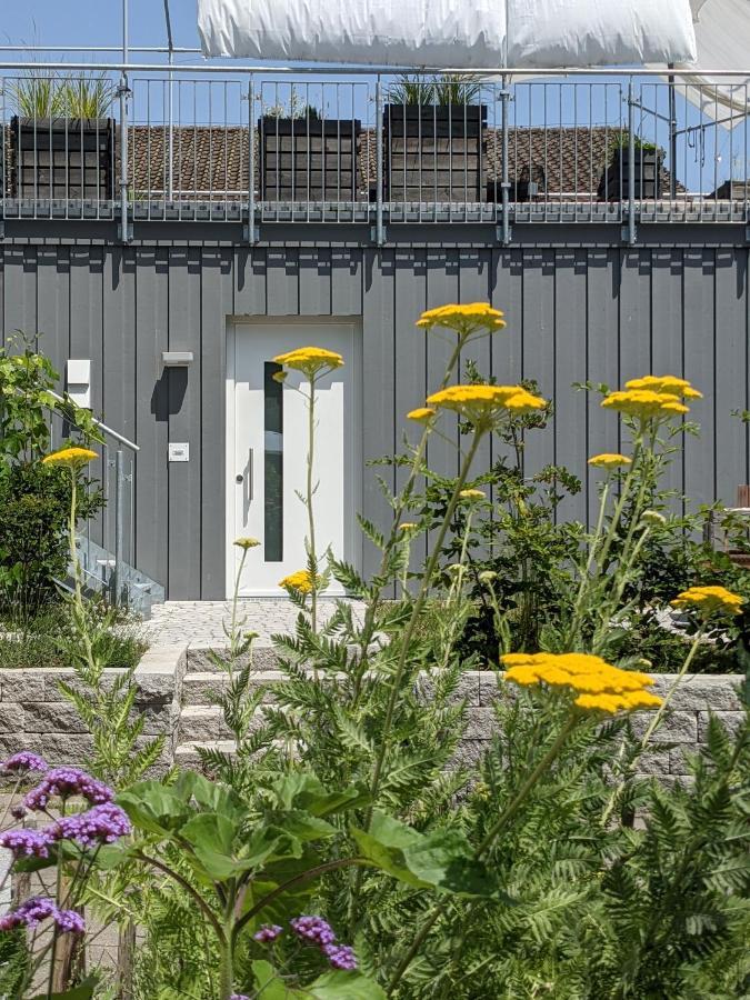 Haus Zur Aach Tinyhouse Villa Uhldingen-Mühlhofen Buitenkant foto